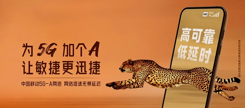 旅顺口区旅顺口区龙王塘街道 移动宽带